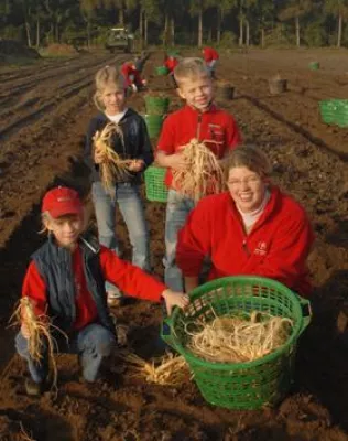 Bild: Frauenpower auf dem Lande - Deutschlands einzigartige Ginseng-Gärten sind fest in Frauenhand