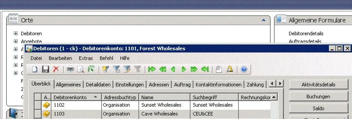 Finanzbuchhaltung in Microsoft Dynamics AX