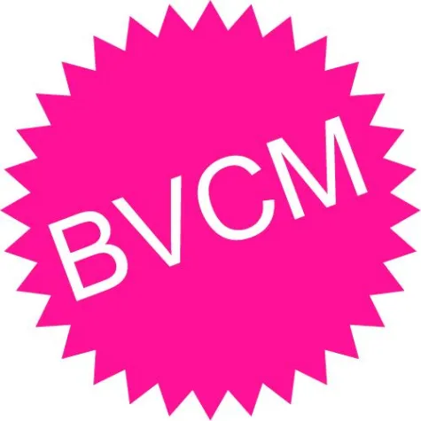 Bild: Bundesverband Community Management e.V. (BVCM) nimmt offiziell Arbeit auf