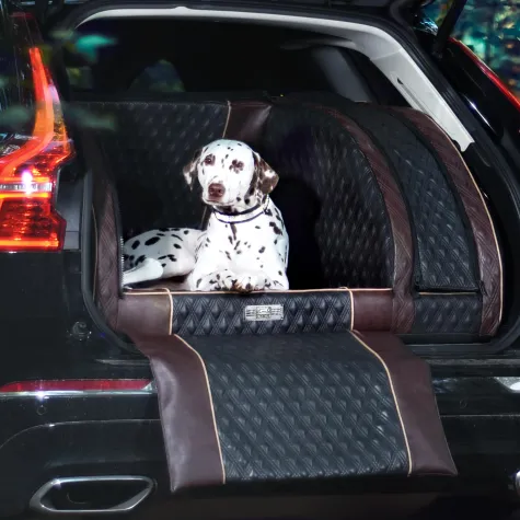 Bild: Reisen mit Hund – Stil, Komfort und Sicherheit - DOGSTYLER(R)