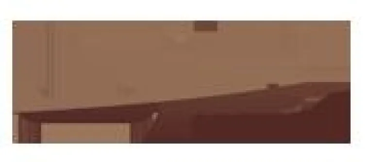 Bild: JnP blickt auf ein erfolgreiches Jahr zurück und startet mit Neujahrsrabatten durch