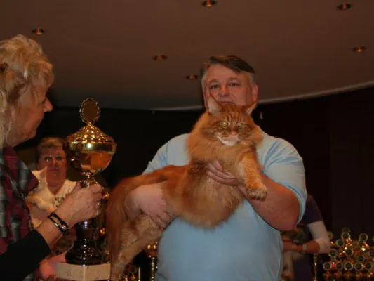 Bild: Internationale Rassekatzenausstellung in Hamburg