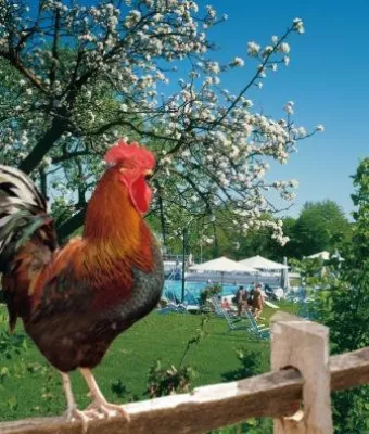 Bild: Fit und gesund in den Frühling - Aktives Frühlingserwachen in Bad Birnbach