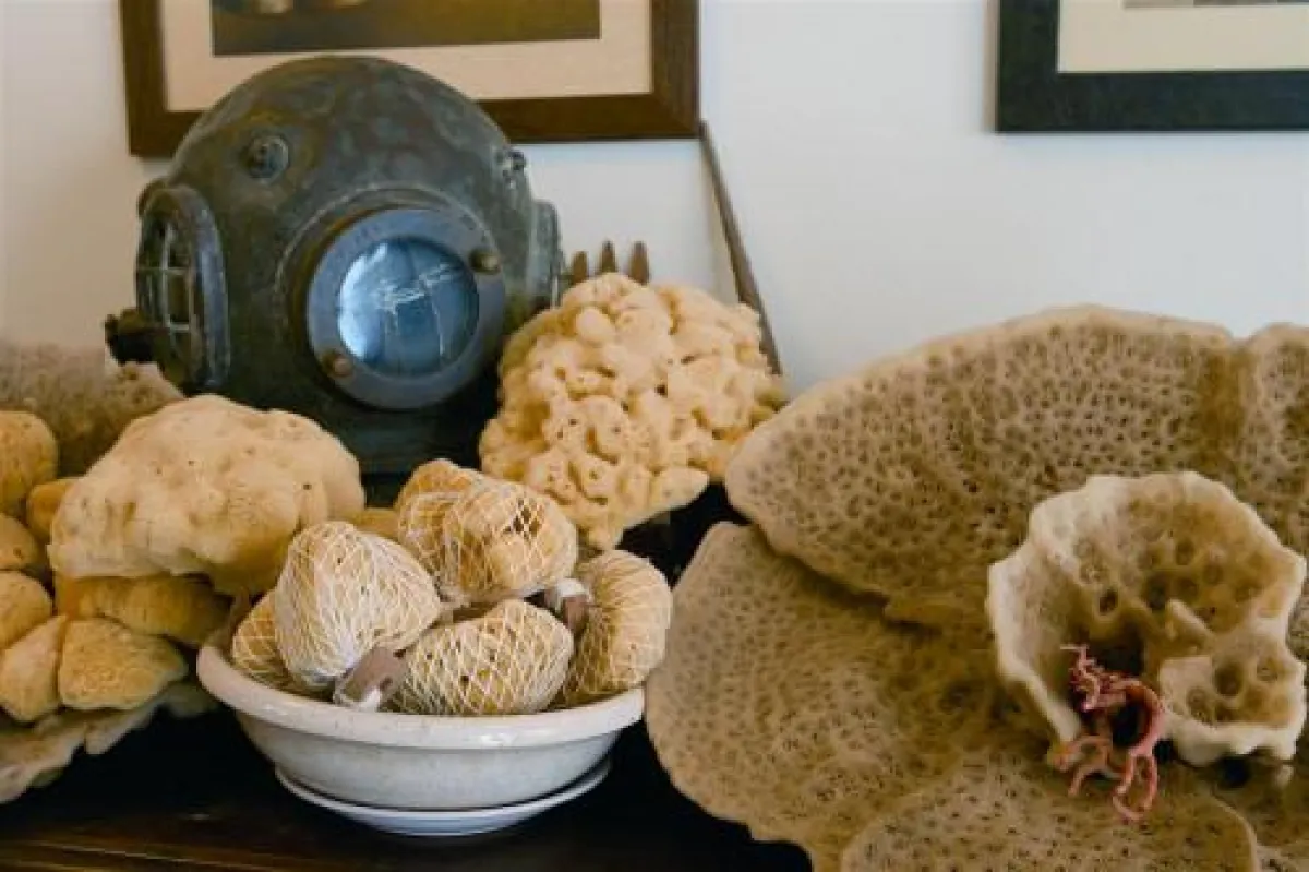 Naturschwämme von der Insel Krapanj, Foto: Kroatische Zentrale für Tourismus/Sergio Gobbo