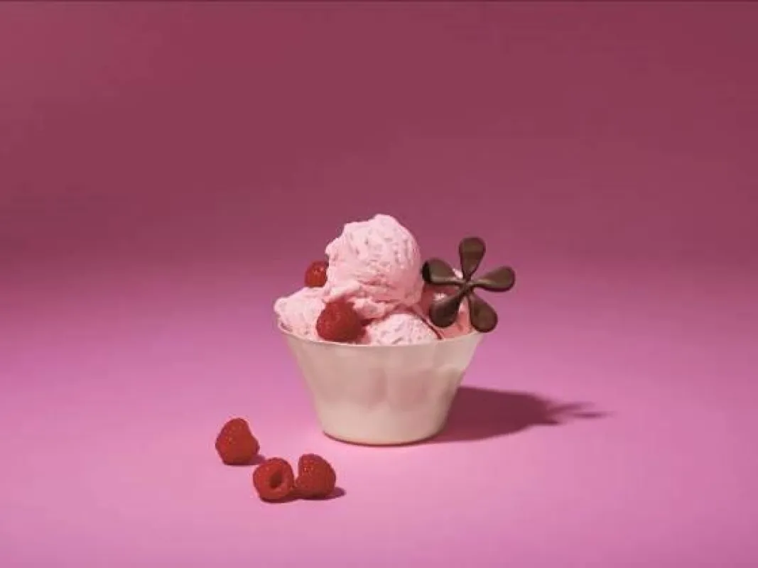 Die Dessertschale Papstar pure aus dem Bio-Kunststoff C-PLA besteht aus nachwachsenden Rohstoffen