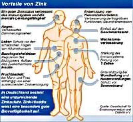 Zink bringt Gehirnleistung von Jugendlichen auf Trab Bild: Zink bringt Gehirnleistung von Jugendlichen auf Trab