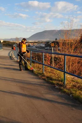 Das passende Gerät für jeden Einsatz: Die Motorsensen-Produktlinie von ECHO Motorgeräte Bild: Das passende Gerät für jeden Einsatz: Die Motorsensen-Produktlinie von ECHO Motorgeräte