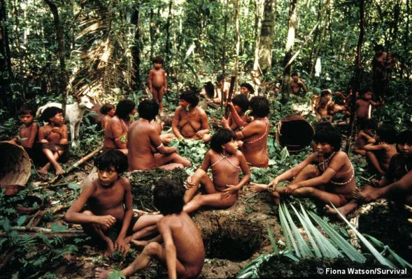 Bild: Survival feiert 40 Jahre Erfolg im Kampf für die Rechte indigener Völker