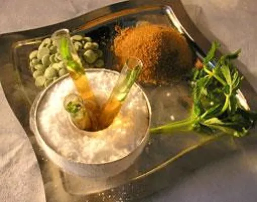 Bild: Molekulares Geschmackserleben – Haute Cuisine aus dem Reagenzglas