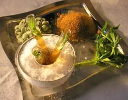 Bild: Molekulares Geschmackserleben – Haute Cuisine aus dem Reagenzglas