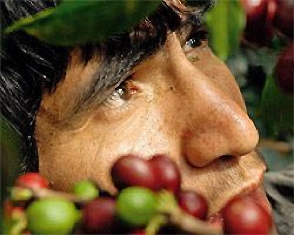 Fairtrade an der Hotelschule Rostock