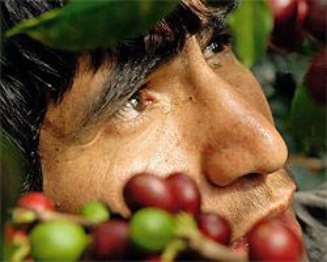 Fairtrade an der Hotelschule Rostock