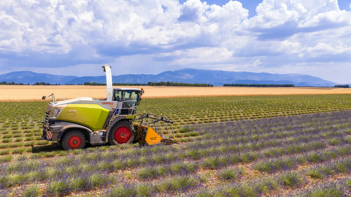 Die CLAAS Gruppe standardisiert die Nutzung der Produktionsdaten mit Cybus Connectware (© iStock 2026: Sjo)