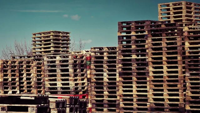 Bild: Stetig steigende Stückgutkosten verlangen nach Prozessoptimierungen