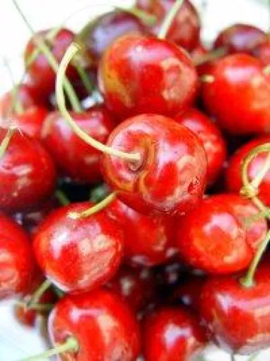 Bild: Gemüse und Obst ist heute noch mindestens so wertvoll wie früher