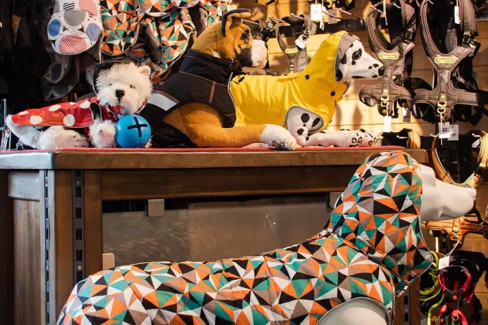 Bild: DOGSTYLER® Tipps für den Herbst mit Hund