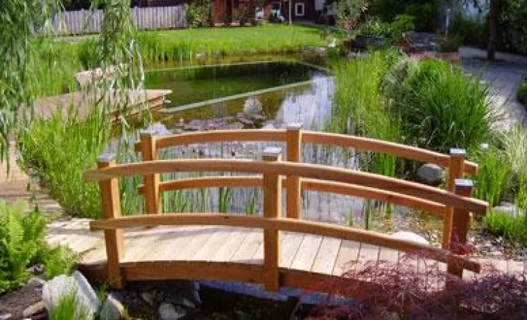 Bild: Pflegetipps im Herbst für Gartenteiche