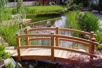 Bild: Pflegetipps im Herbst für Gartenteiche