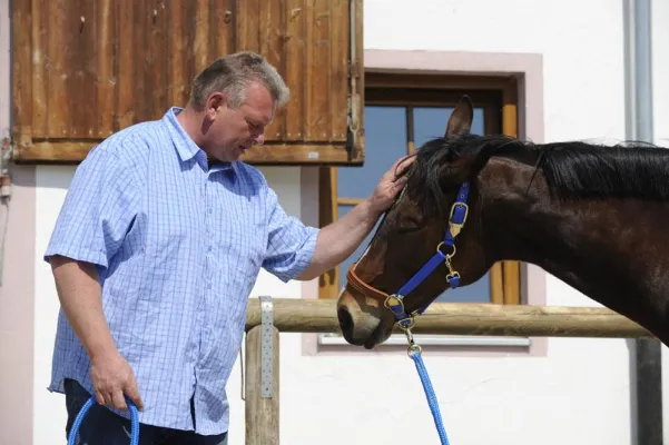 Pferde-Wissen-Kompakt die neue Geitner Ausbildung Bild: Pferde-Wissen-Kompakt die neue Geitner Ausbildung