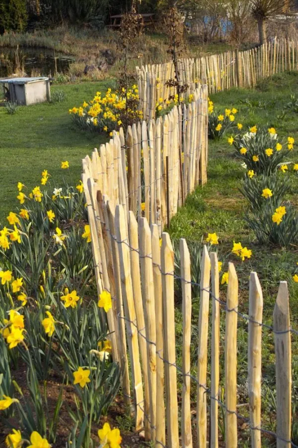 Der klassische Jägerzaun bekommt durch natürliche Kastanienzäune von der Rolle Konkurrenz. Foto: re-natur.de/Immowelt.de