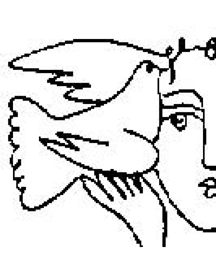 Frieden schaffen ohne Waffen