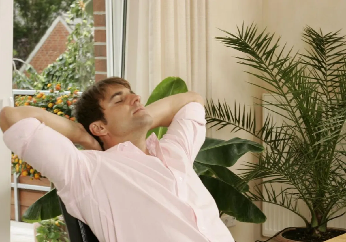 Allergiker können mit einer Lüftungsanlage auch während der Pollenzeit frei durchatmen. Foto: OBI