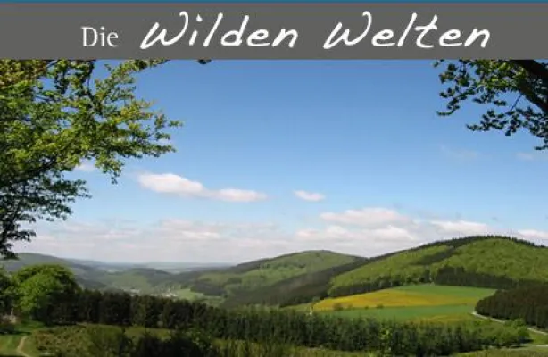 Bild: Wellness für die Ohren - Ruheoase auf dem Hohen Knochen im Sauerland