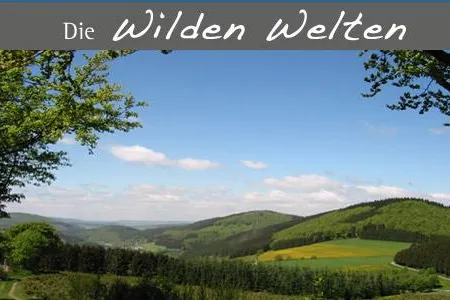 Bild: Wellness für die Ohren - Ruheoase auf dem Hohen Knochen im Sauerland