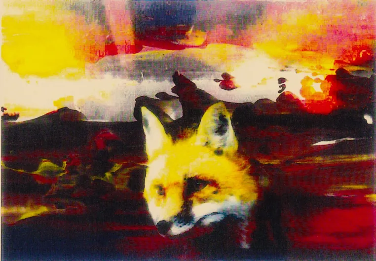 Der kleine Fuchs und die Farbe des Windes Bild: Der kleine Fuchs und die Farbe des Windes