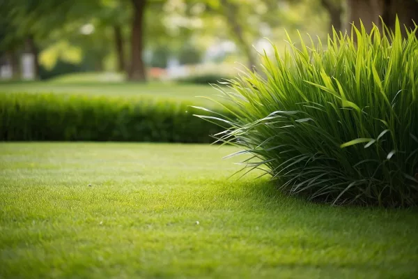 Bild: A-Z Garten- und Landschaftspflege GmbH - Vom Kauf bis hin zum Fertigrasen verlegen