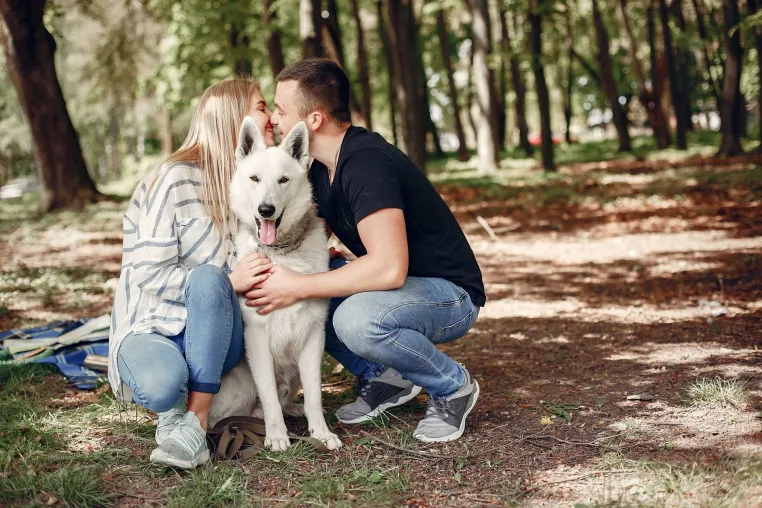Bild: Liebe füttert man nicht aus der Dose – warum falsche Ernährung Haustiere krank macht