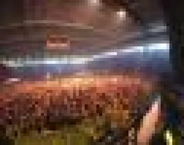 Destiny Records und imuse.TV feiern Punk im Frühling Bild: Destiny Records und imuse.TV feiern Punk im Frühling