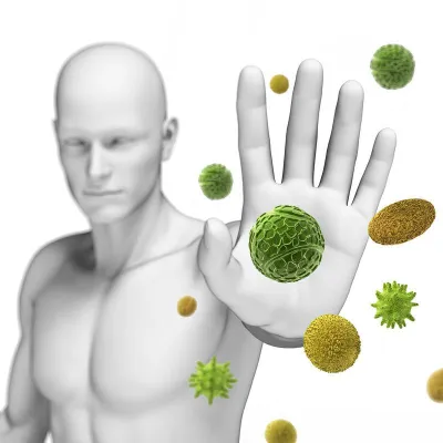 Bild: Unser Immunsystem und die Darmflora