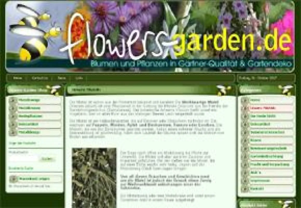 Mistelzweige bei Flowers-Garden