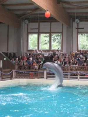 Bild: Tierschützer freuen sich über Schließung des Delfinariums Münster