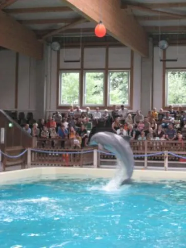 Tierschützer freuen sich über Schließung des Delfinariums Münster Bild: Tierschützer freuen sich über Schließung des Delfinariums Münster