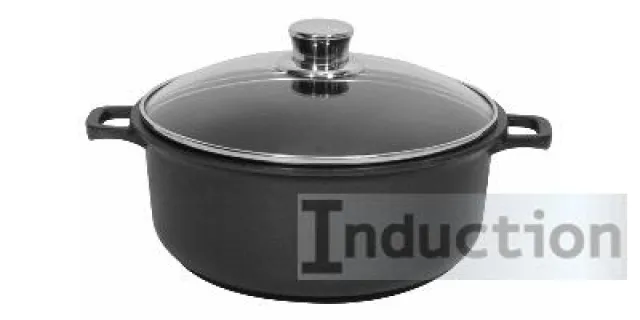 MasterCuisine aktuell: Kochen auf Induktionsherden Bild: MasterCuisine aktuell: Kochen auf Induktionsherden