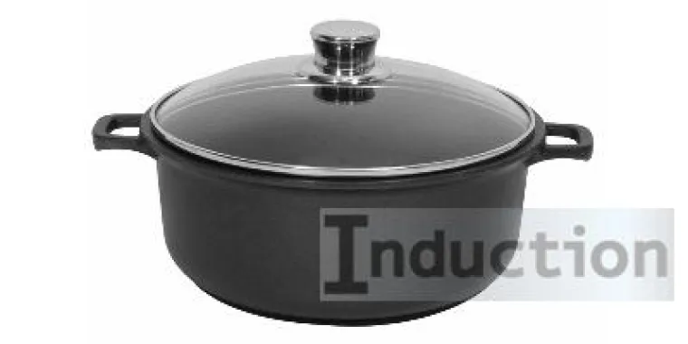 Bild: MasterCuisine aktuell: Kochen auf Induktionsherden