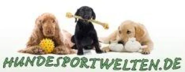 Die beliebtesten Hundesportarten Bild: Die beliebtesten Hundesportarten