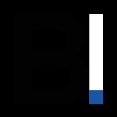 Bild: Staatliche Förderung für die neue Webseite: BALDIN. erhält Autorisierung für go-digital