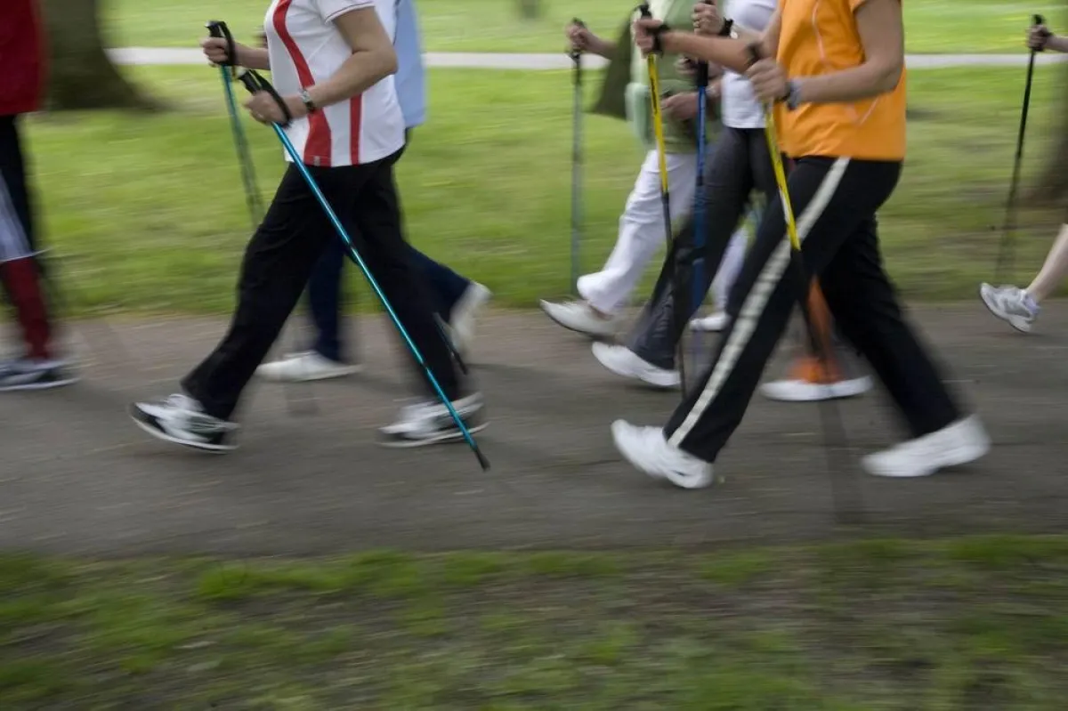 Schon eine halbe Stunde Bewegung an vier bis fünf Tagen pro Woche wirkt sich positiv auf den gesamten Organismus aus und trainiert unter anderem das Herz.