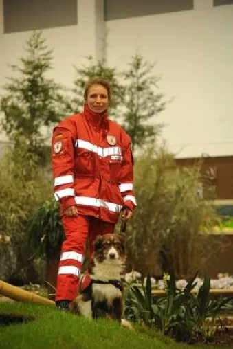 Deutscher-Tierhilfe-Verband informiert: Dogs with Jobs - Hunde mit ungewöhnlichen "Jobs" Bild: Deutscher-Tierhilfe-Verband informiert: Dogs with Jobs - Hunde mit ungewöhnlichen "Jobs"