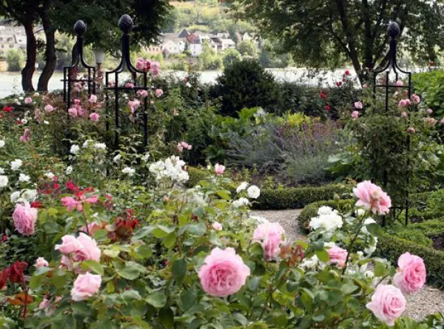 Die schönsten Rankgerüste für Rosen - Jubiläum: 15 Jahre Classic Garden Elements Bild: Die schönsten Rankgerüste für Rosen - Jubiläum: 15 Jahre Classic Garden Elements