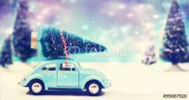 Bild: Weihnachtsbaumentsorgung in München leicht gemacht