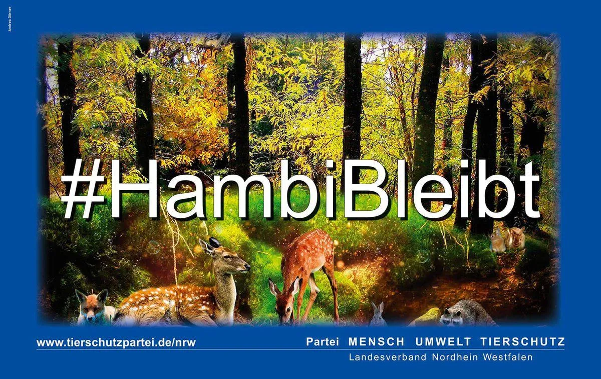 Tierschutzpartei fordert: Hambi bleibt