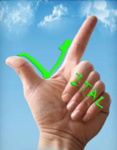 Bild: Frischer Wind im Betrieblichen Gesundheitsmanagement