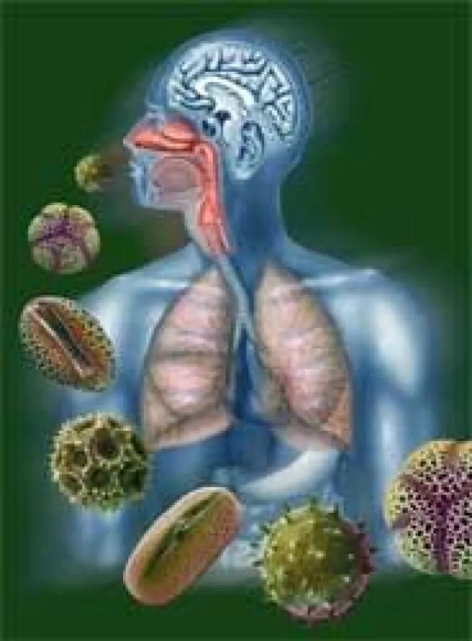 Allergie und Pollen ©medicalpicture