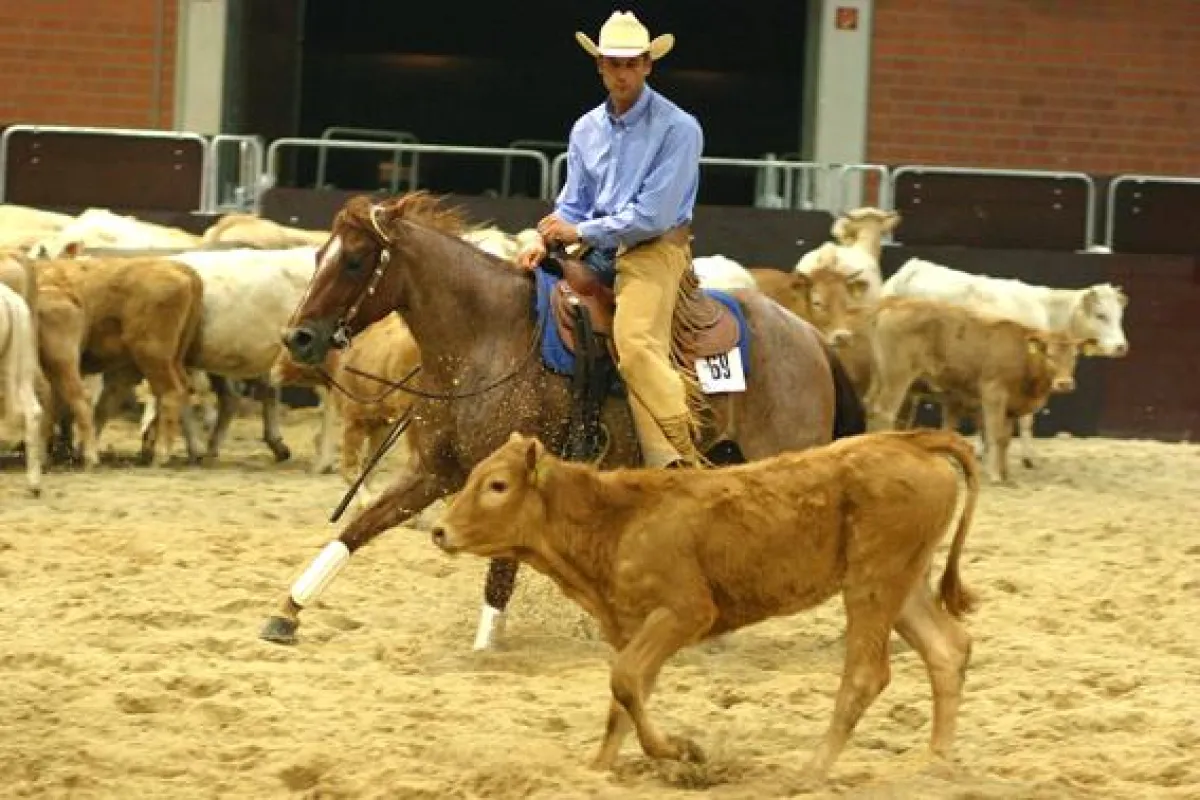 Torsten Gärtner beim Cutting bei der Texana 2008