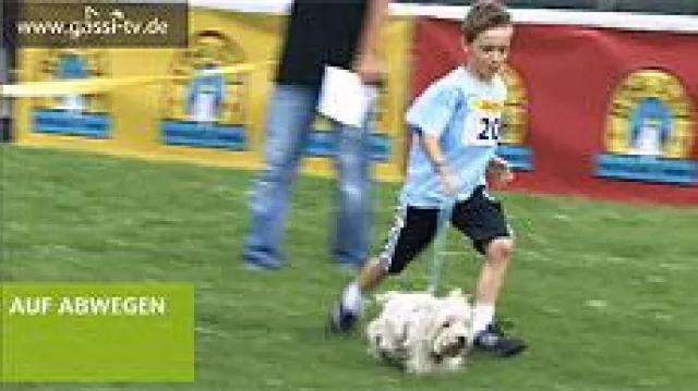 Bild: Der Dog Day 2009 auf GASSI-TV