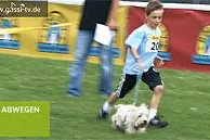 Der Dog Day 2009 auf GASSI-TV Bild: Der Dog Day 2009 auf GASSI-TV